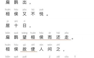 王者荣耀扁鹊攻略视频-王者荣耀扁鹊攻略视频大全？