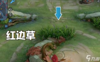 王者荣耀高级技巧攻略_王者荣耀高级教学视频