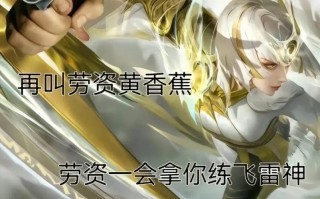 王者荣耀撒野怎么搭配-关于撒野的王者名字？