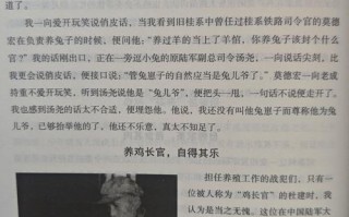 阴阳师贺茂服装搭配-阴阳师贺茂服装搭配图？