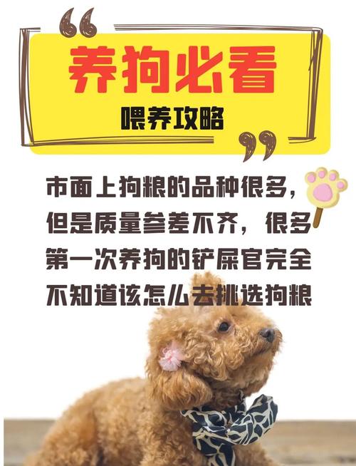阴阳师刷狗粮攻略,阴阳师刷狗粮攻略大全-第4张图片-ikk游戏 阴阳师刷狗粮攻略,阴阳师刷狗粮攻略大全-第4张图片-ikk游戏