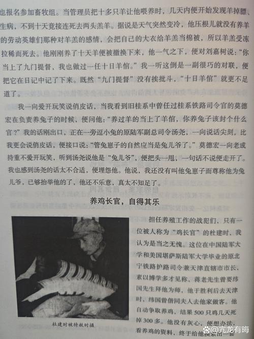 阴阳师贺茂服装搭配-阴阳师贺茂服装搭配图?-第1张图片-ikk游戏 阴阳师贺茂服装搭配-阴阳师贺茂服装搭配图?-第1张图片-ikk游戏
