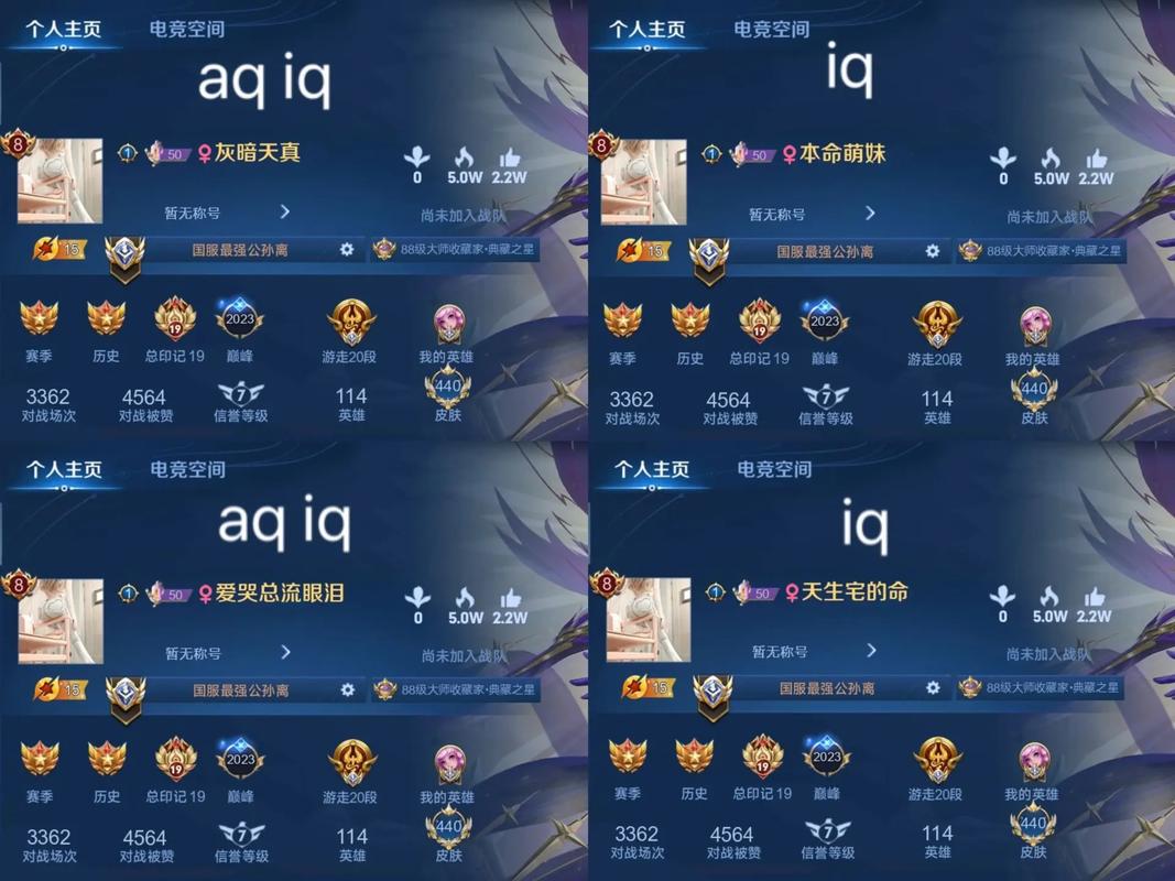 王者荣耀铁血队伍搭配，王者荣耀铁血队伍搭配图-第6张图片-ikk游戏