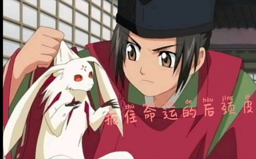 阴阳师半永久阵容搭配_阴阳师半吉影响爆率么-第5张图片-ikk游戏